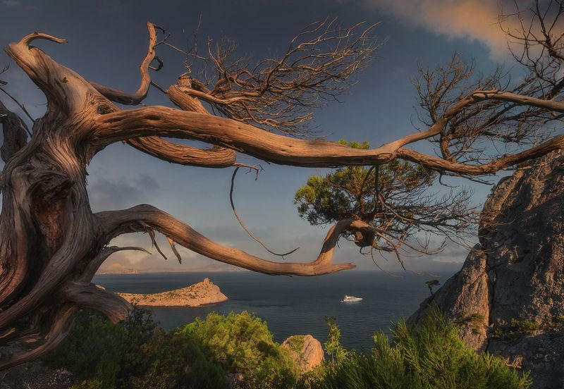 ***** фото превью