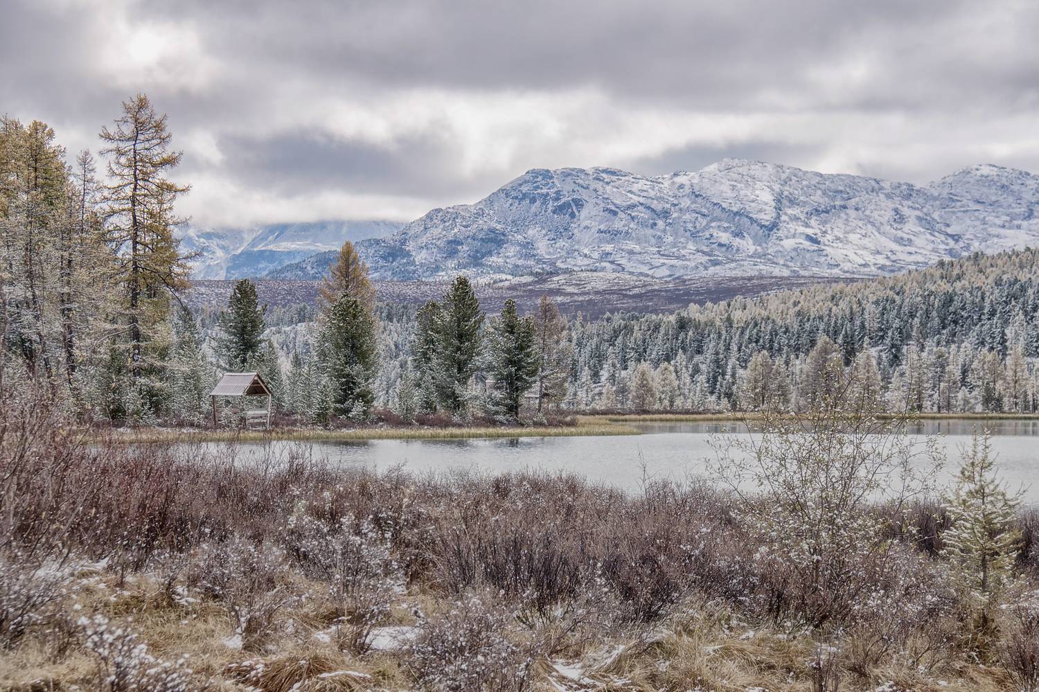 , Юдинских Марина