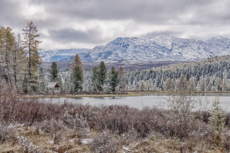 Киделю фото превью