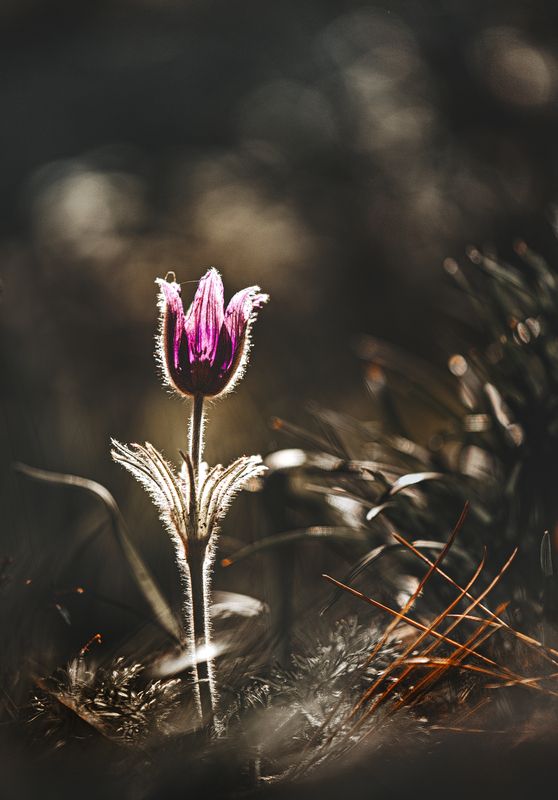 За фабричной заставой фото превью