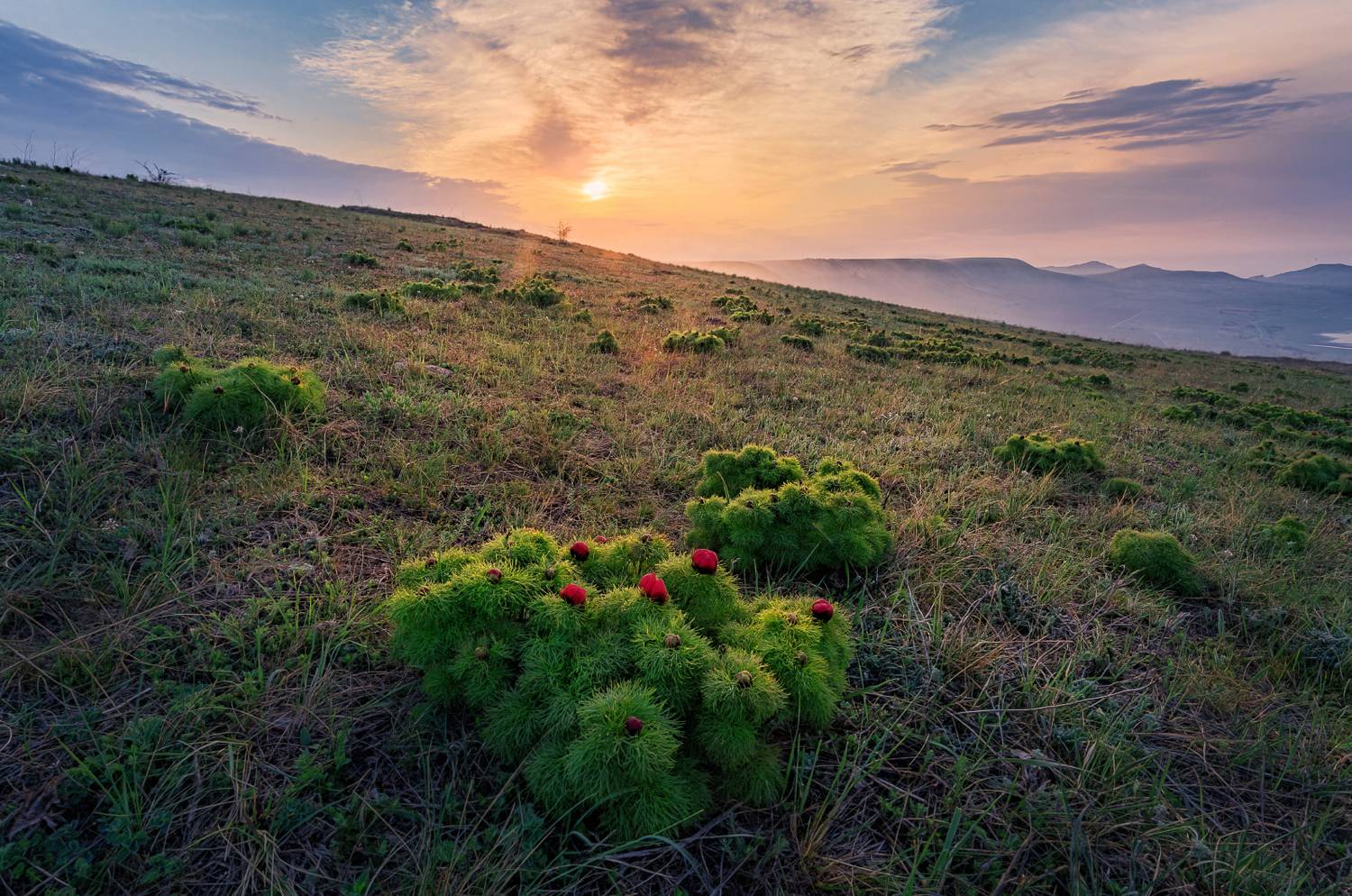 , Евгений Ерохин