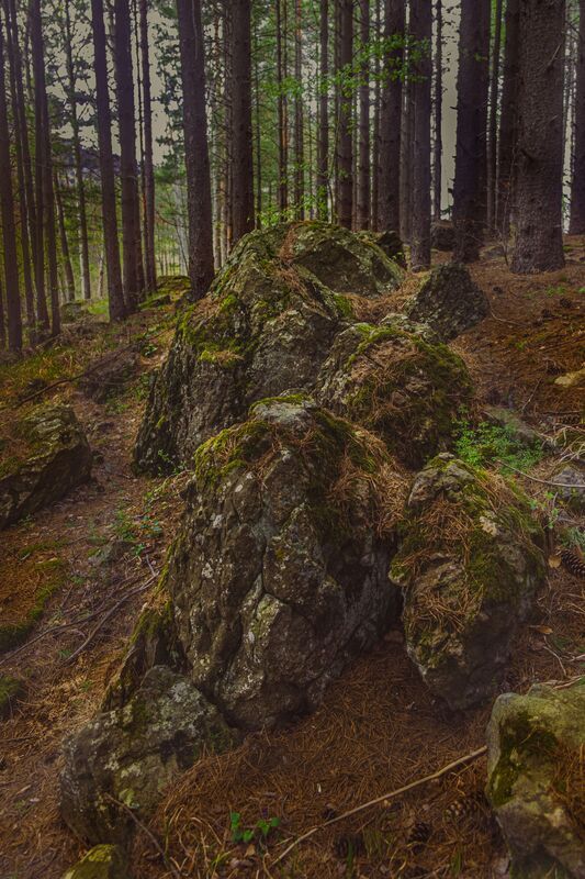 * фото превью