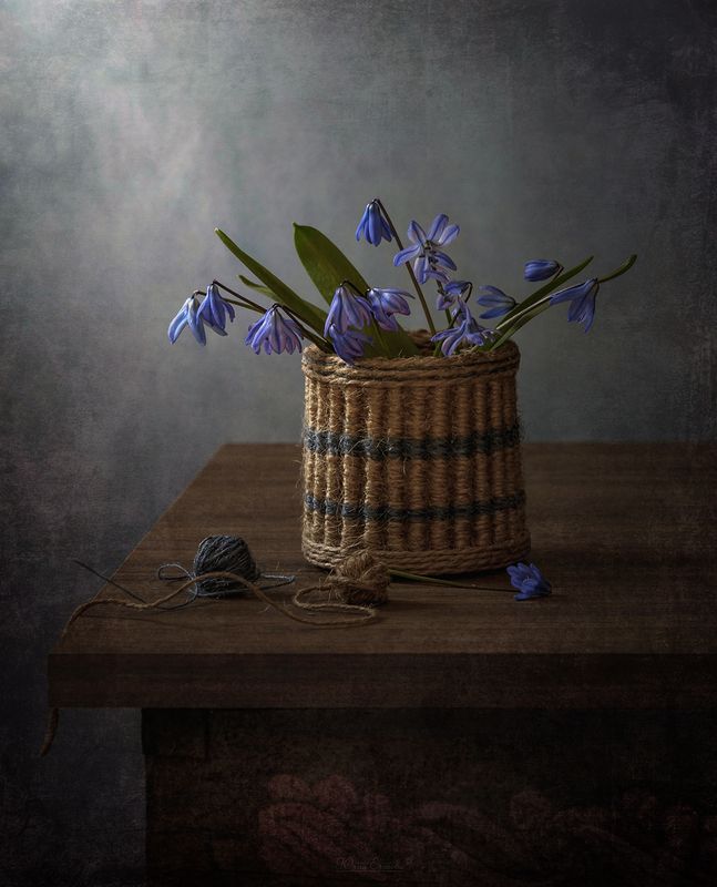 пролески, первоцветы, натюрморт Пролески и джут фото превью