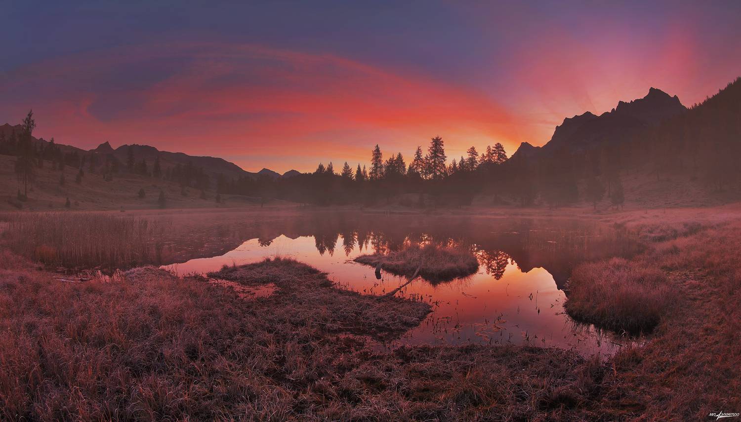 swiss, Матвеев Николай