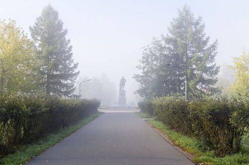 В парке утром.