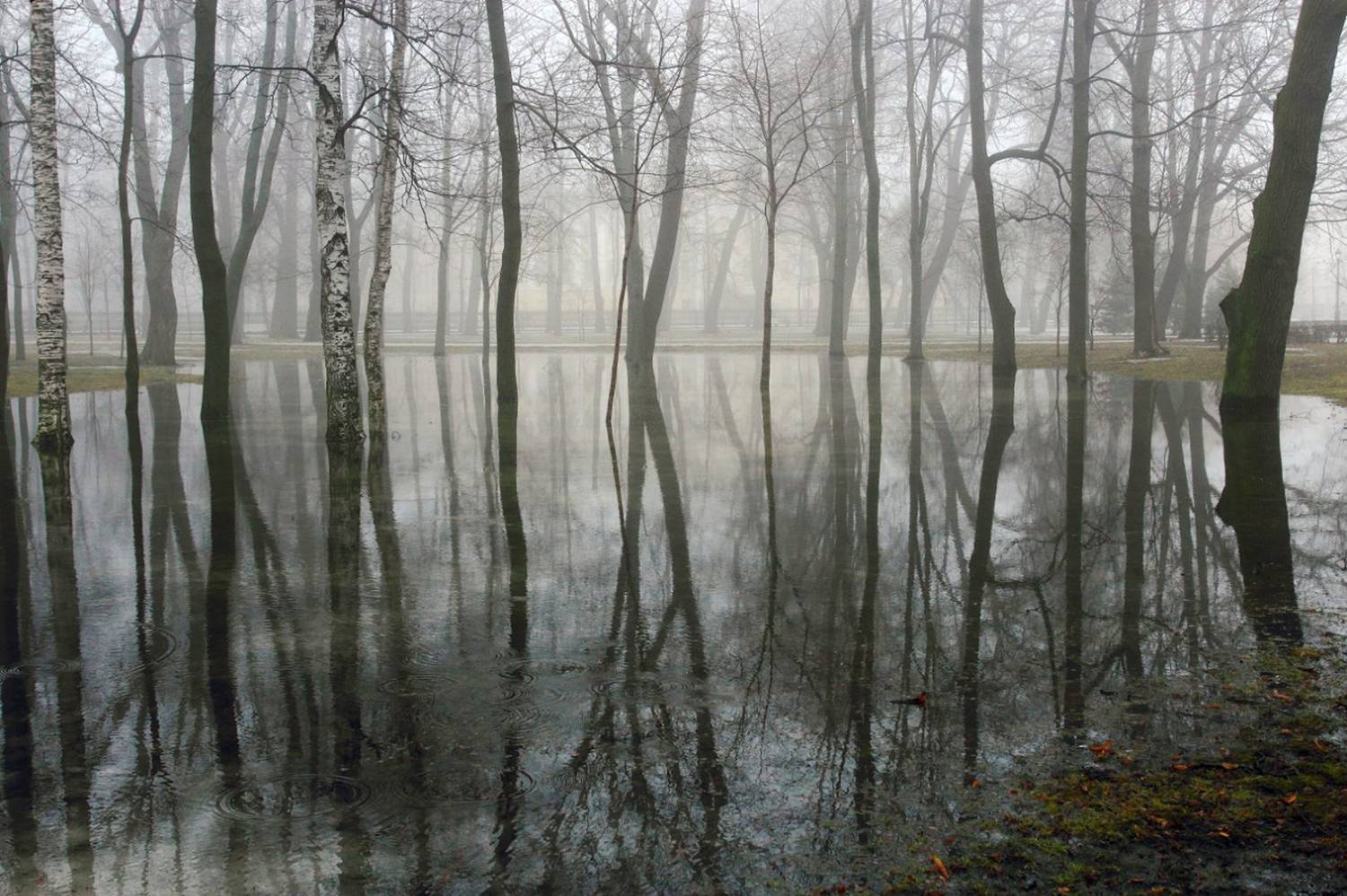 , Сергей Григорьев