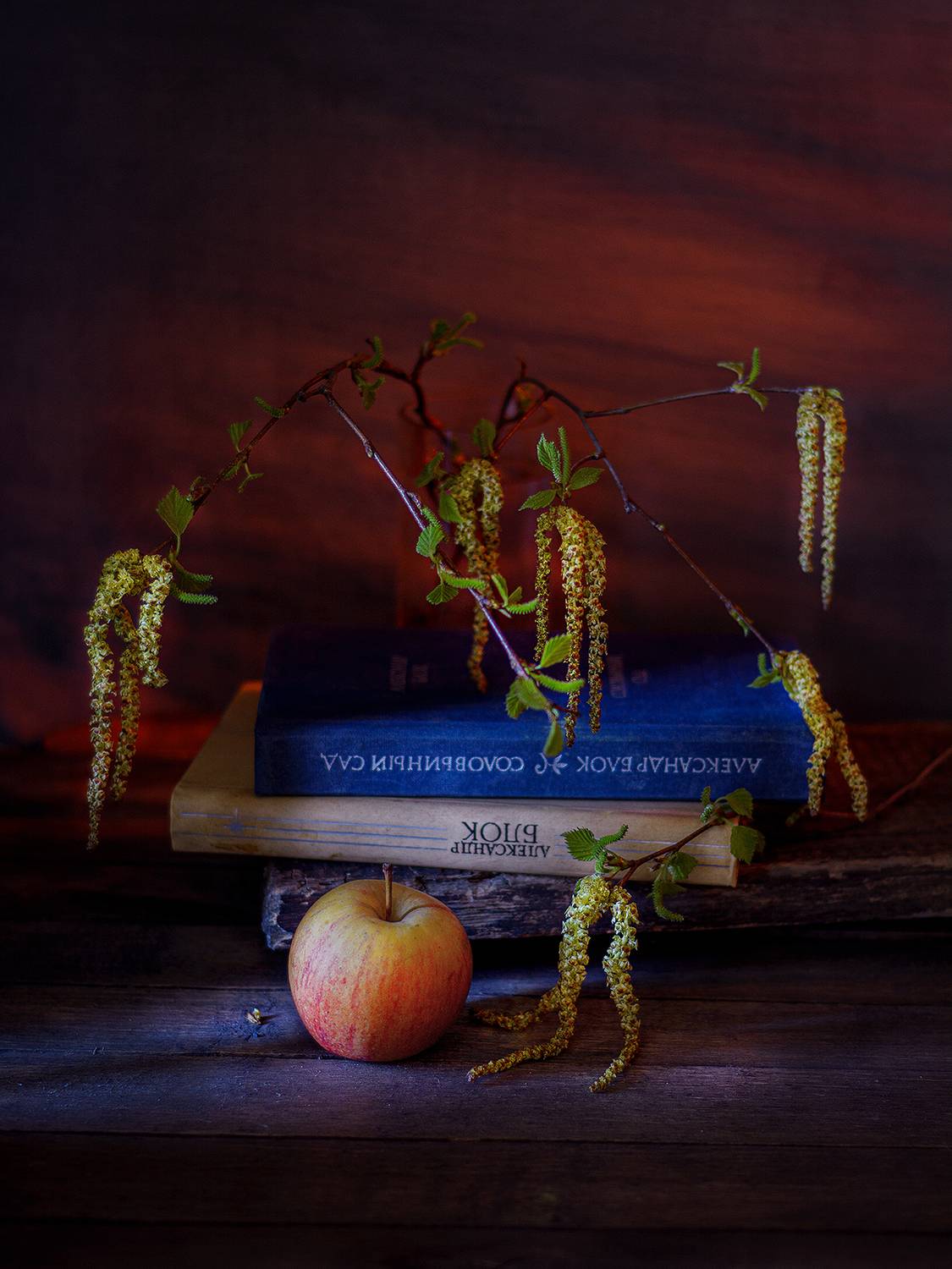 весна, березовые ветки, листочки, сережки, яблоко, закат, книги, стихи, Алексей Бычков