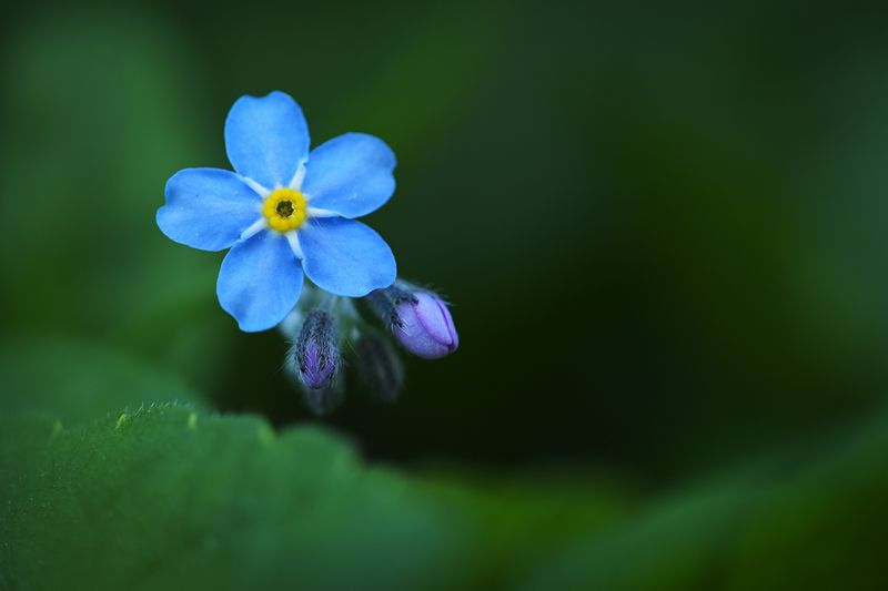 2025 фото превью