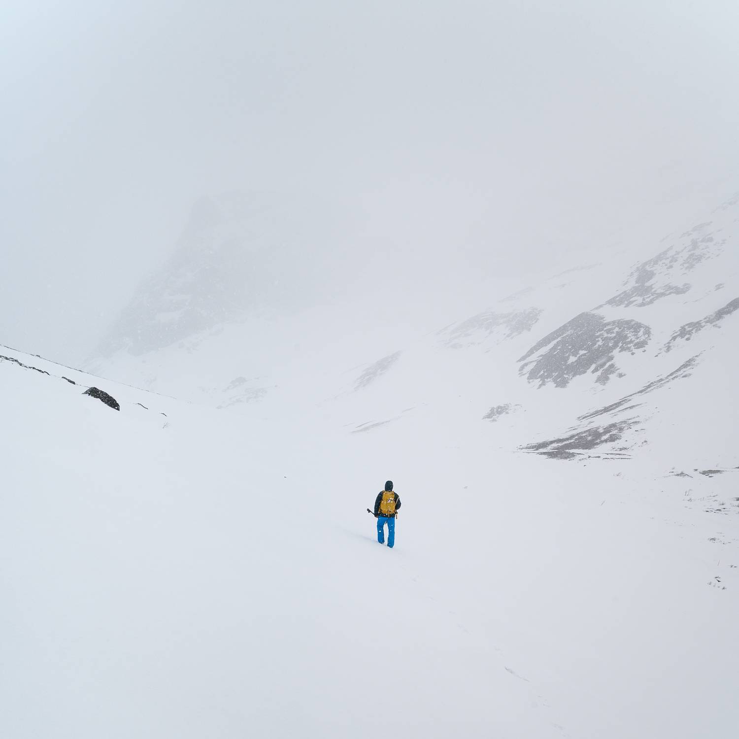 , Ян Сурогин