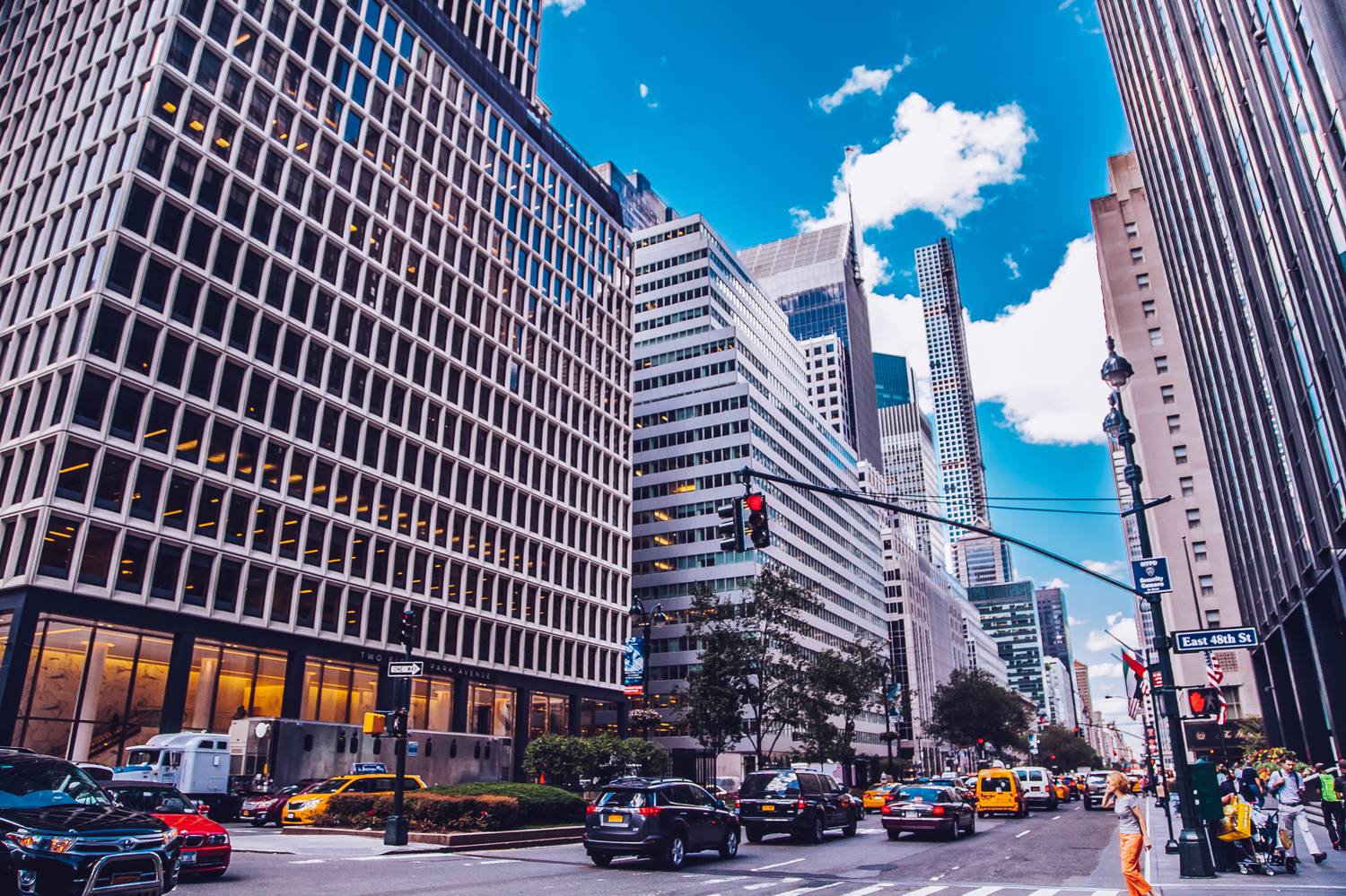 , Трепольский Дмитрий