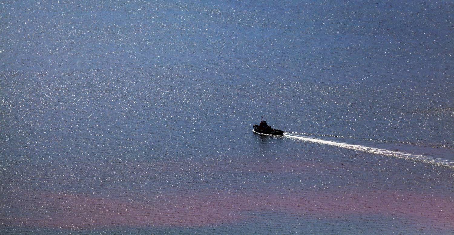 красный прилив, цветение воды, буксир, море, марионекта, инфузория, Уткин Дмитрий