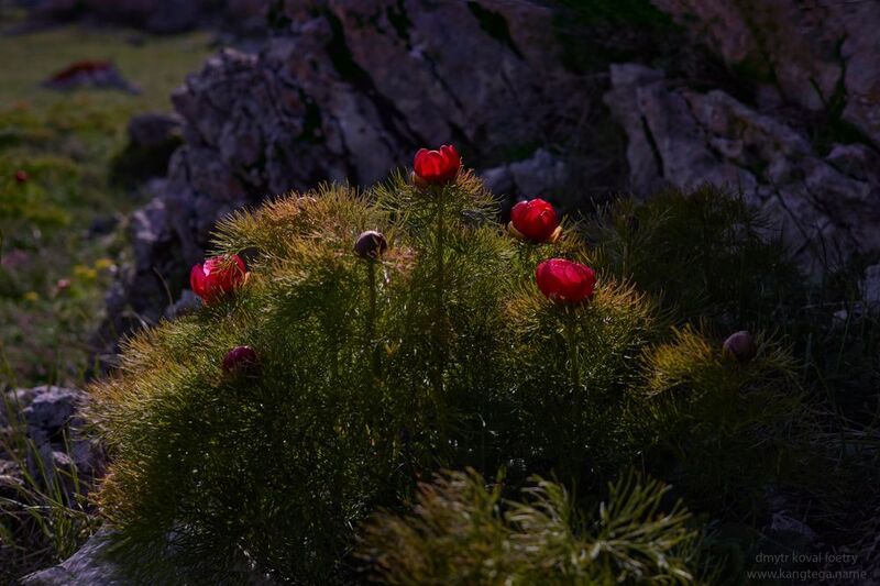 пейзажемагьё, пейзаж-как-виденье Остров … фото превью