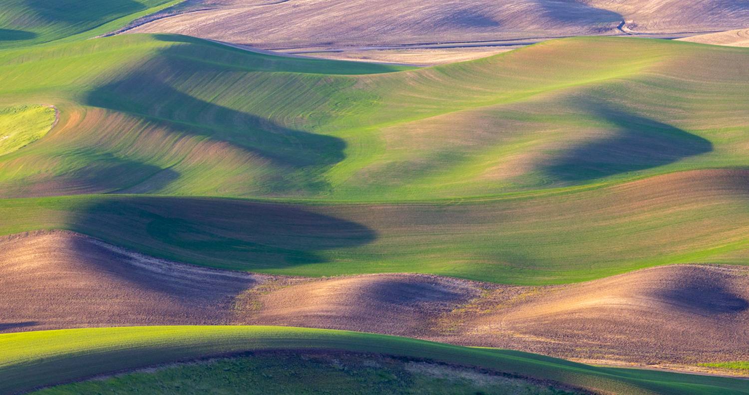 , Лозицкий Александр
