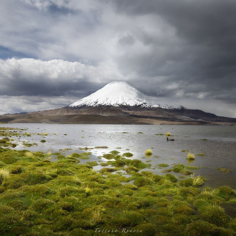 Вулканы Чили фото превью