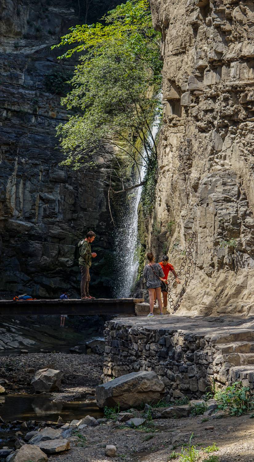 , Новикова Ольга