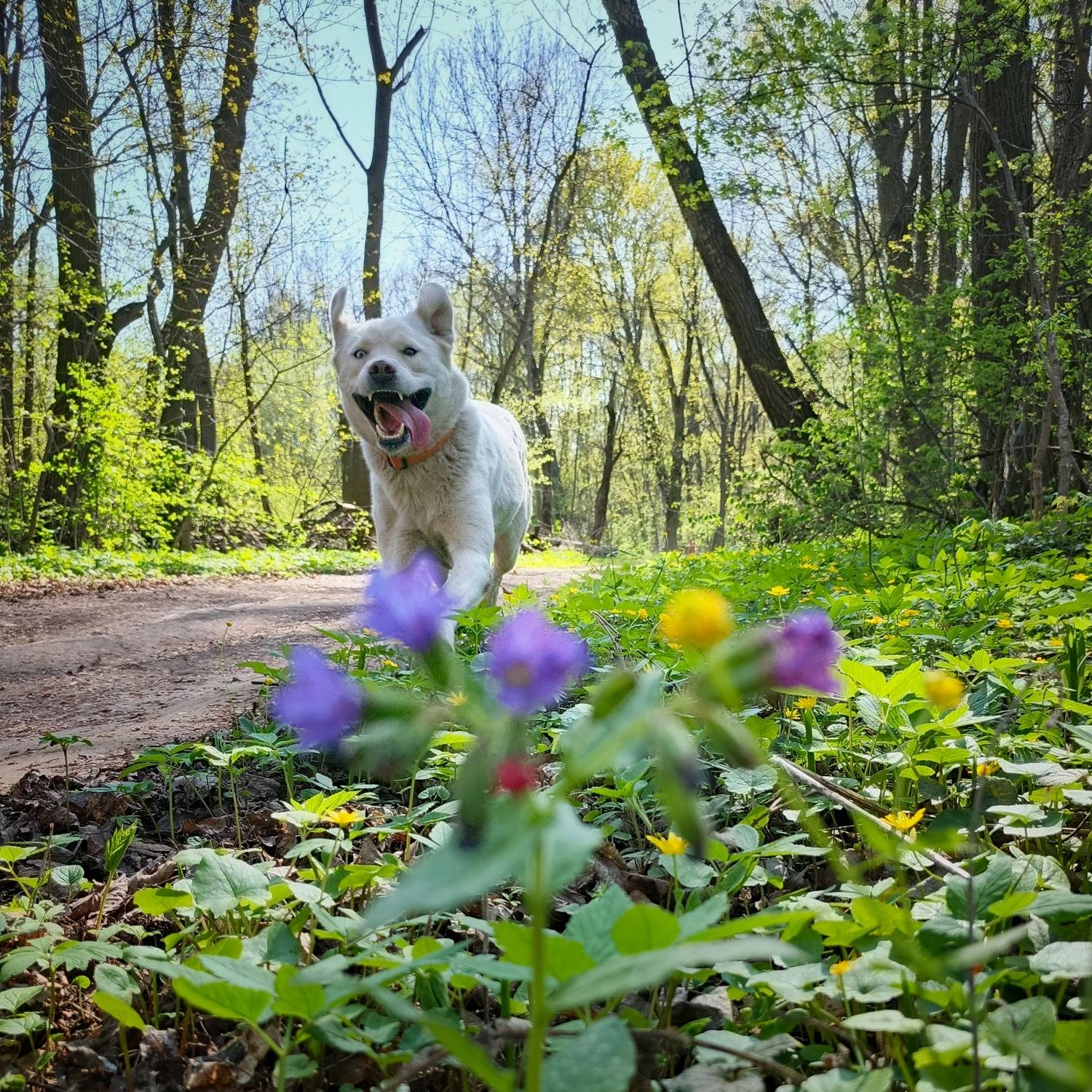 , Кондрашова Светлана