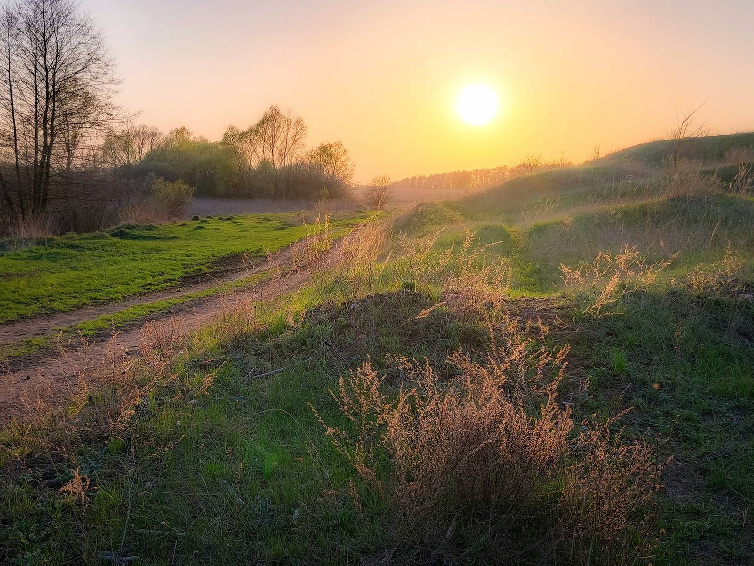 , Кондрашова Светлана