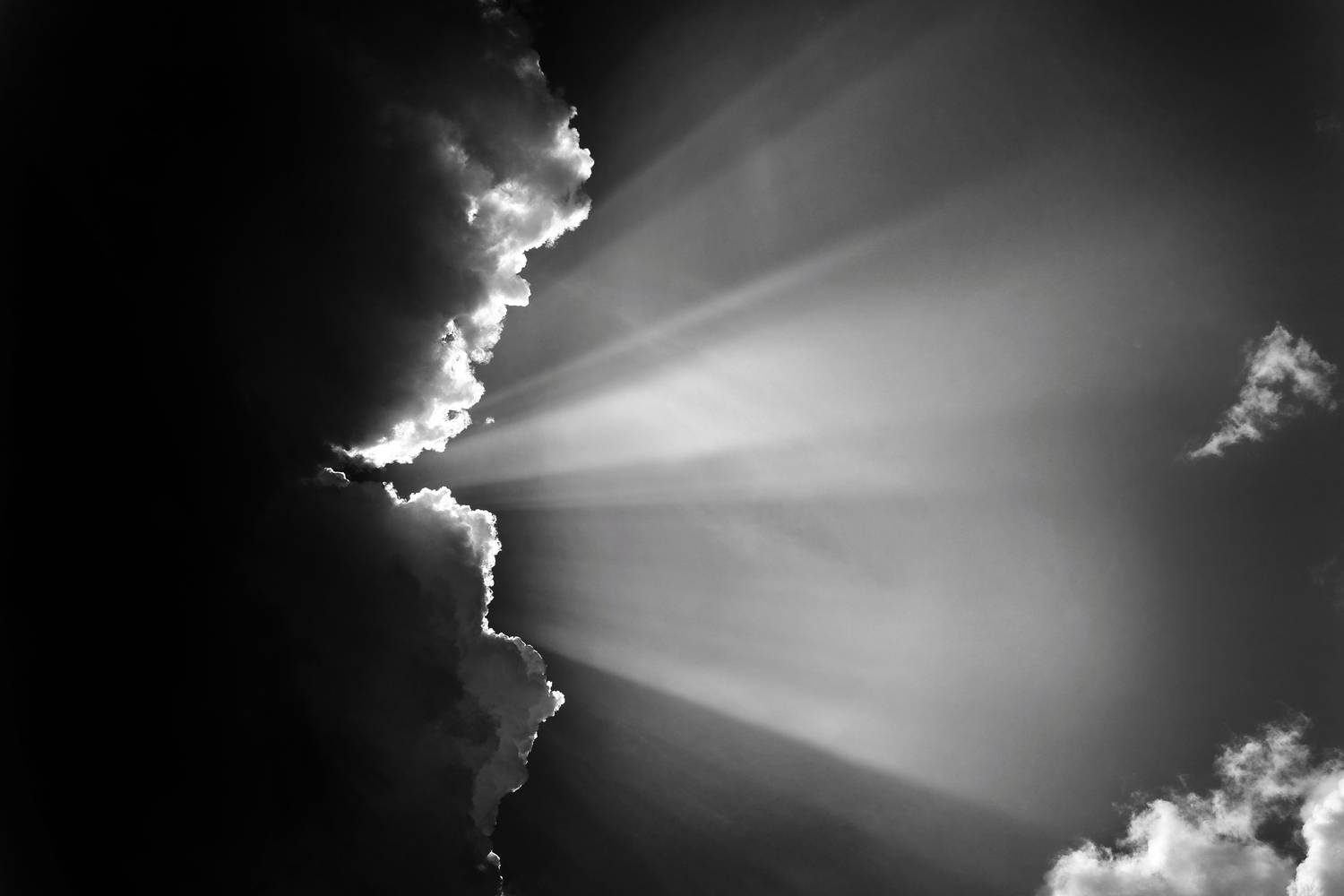 Свет, облако, Зорин Миша