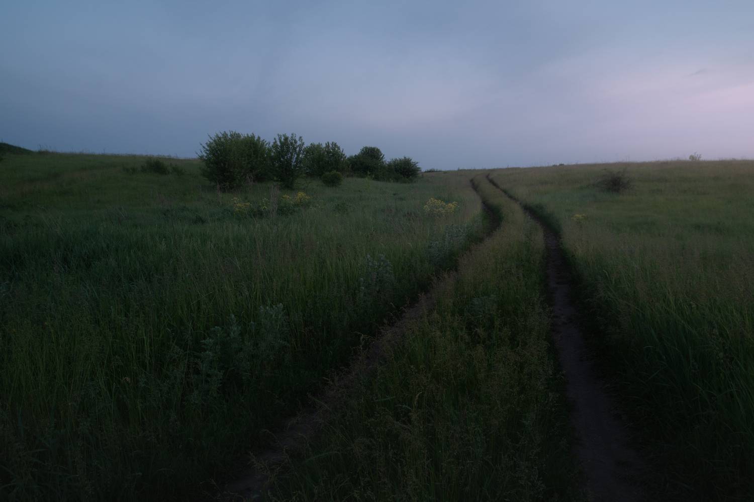 , Кузнецов Семён