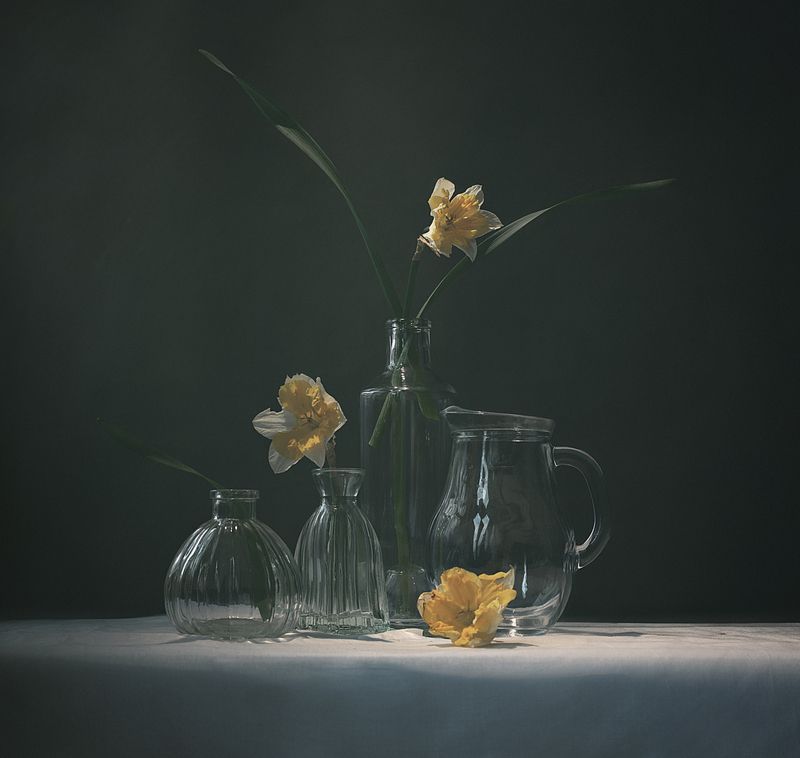 Нарциссы фото превью