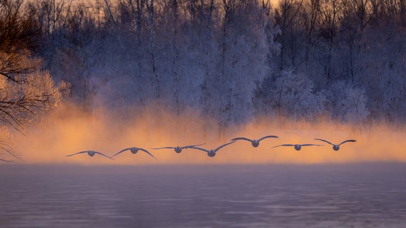 Полёт на рассвете фото превью