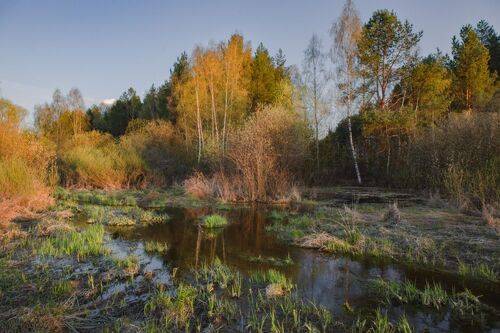 Апрельский вечер.