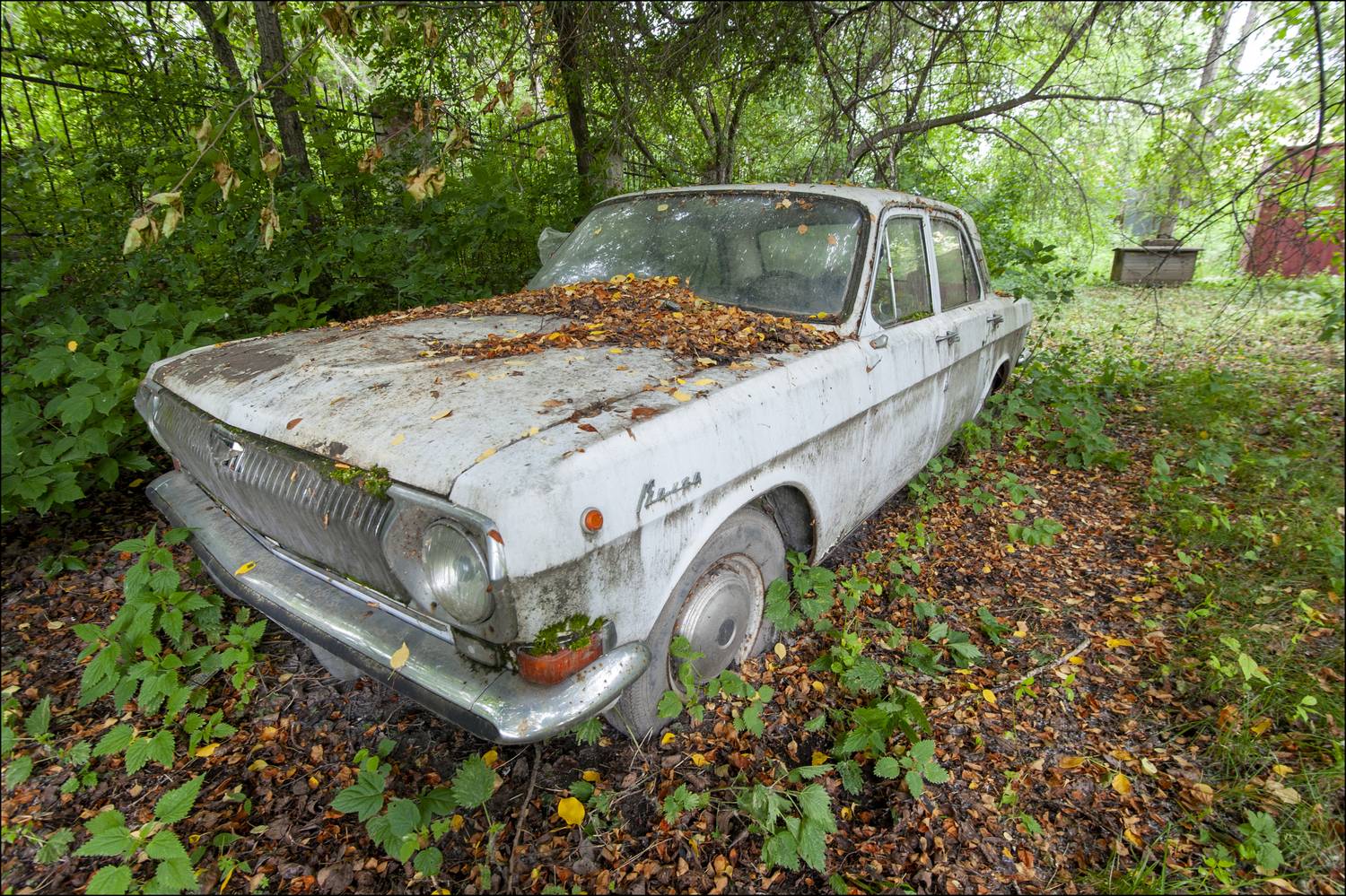 , Георгий Сапожников