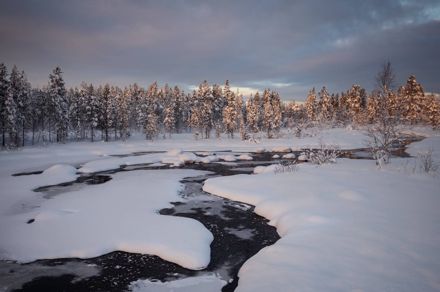 , Перевозчиков Андрей