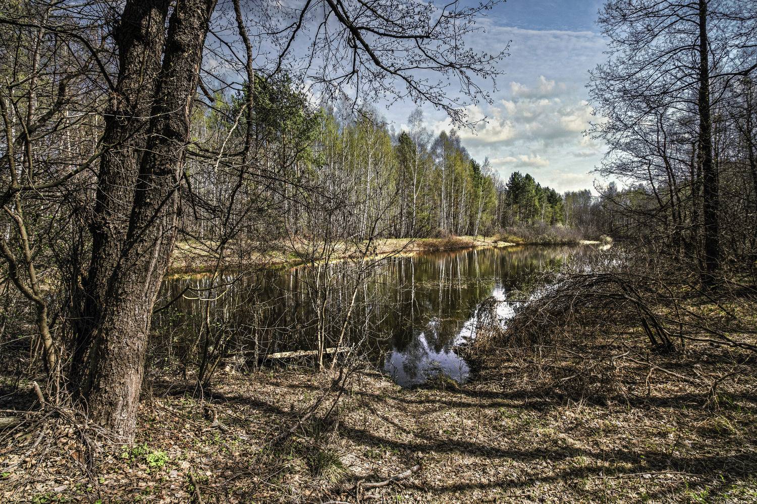 , Шитов Александр