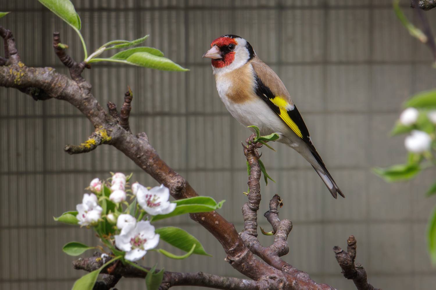 , Морозов Сергей