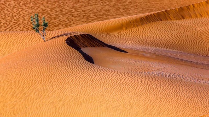 Рябь... фото превью