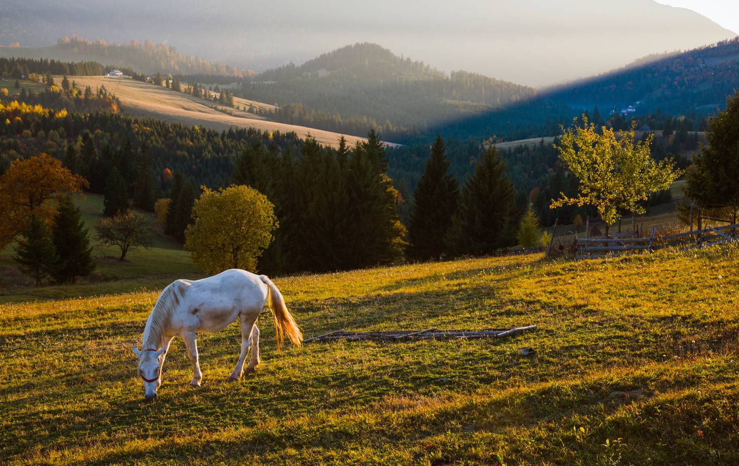 вечер лошадь горы, Мурзинов Виктор