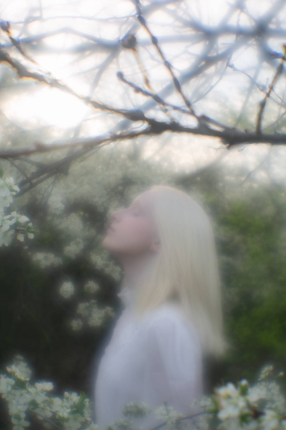 35mm, 4x5, 6x6, 6х6, 85mm, Art, Artnude, Ballerina, Ballet, Battur, Beautiful, Beauty, Canon, Canon 5D Mark III, Car, Color, Dance, Dress, Emotion, Eyes, Face, Flowers, Ganzo, Genre, GirlHair, Hero,LightLilac, Model, Mongol, Mongolia, Вероника Гергерт