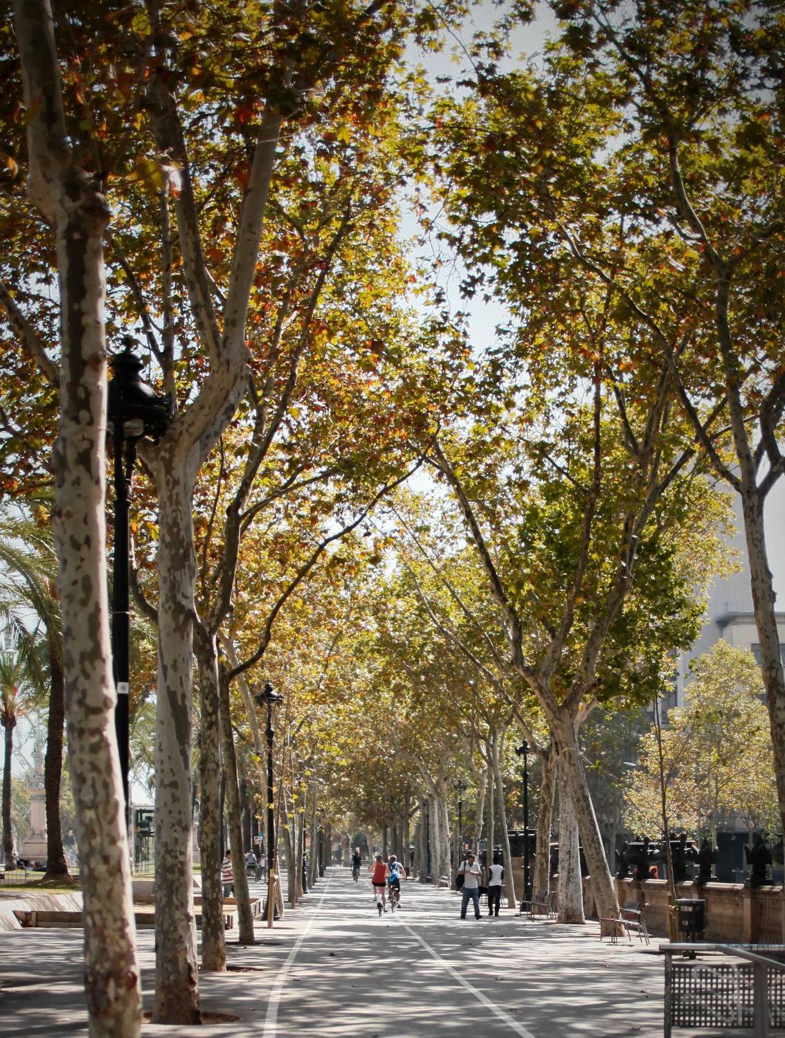 Барселона, Lilia Tkachenko