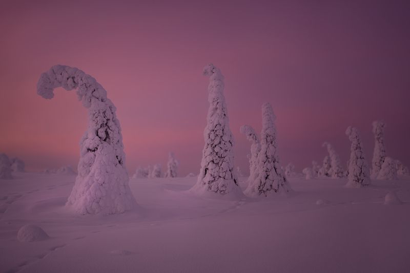 Мороз-воевода дозором обходит владенья свои фото превью