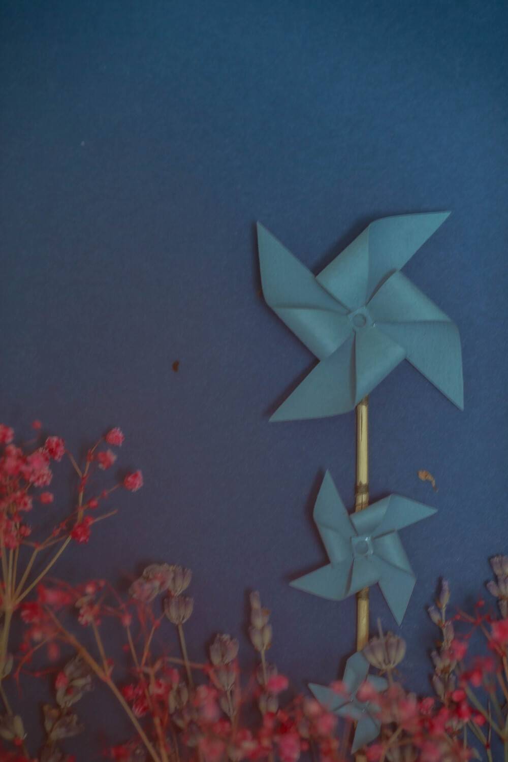 , Александр По