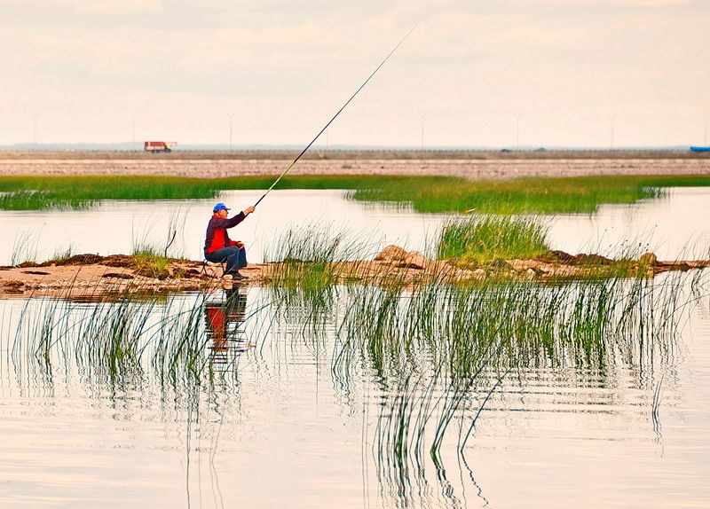 Ловись рыбка фото превью