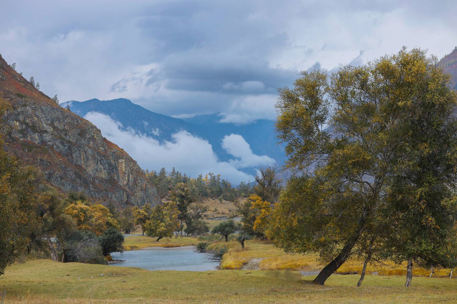 , Константин Буркин