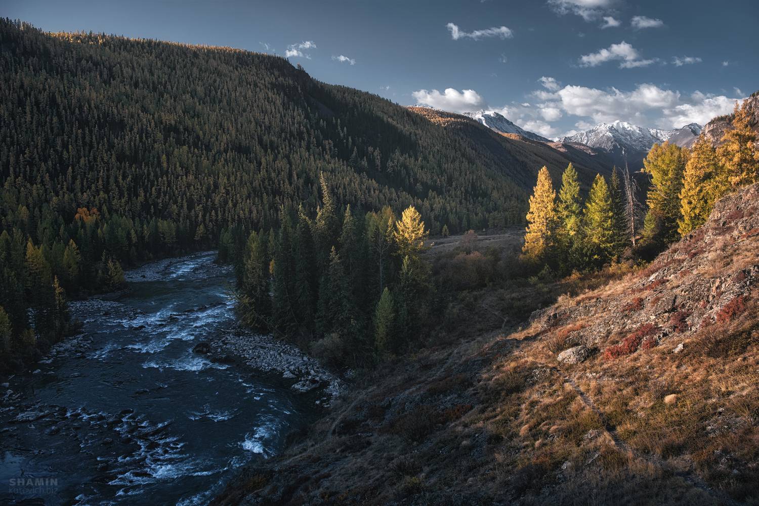 , Константин Шамин