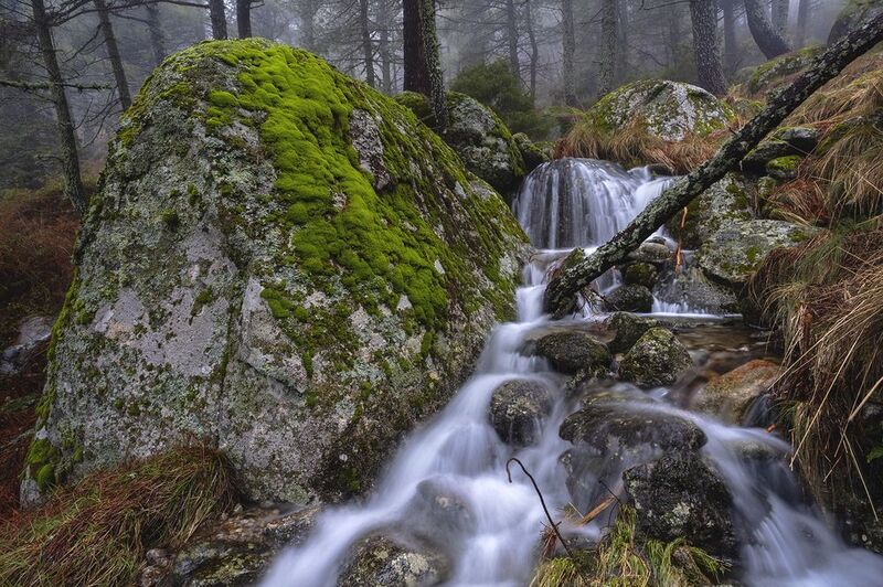 photography, mountain, autumn, flower, landscape, photo, awakening, flowers, land, landmark, lands, dramatic ligth, ligth, mountains Primeval фото превью