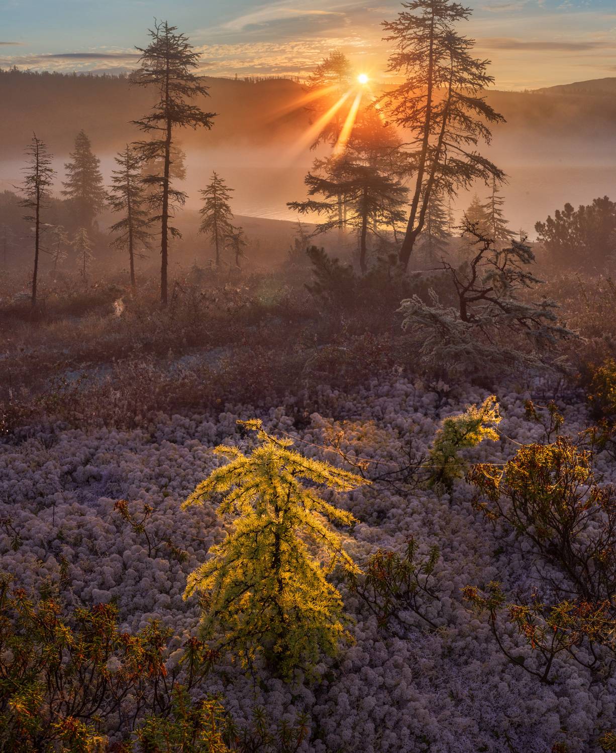фототуры с владимиром рябковым, #topnature #russpasibo #magic_shots #lovelyrussia #sunset_vision #exclusive_sky  #exclusive_shots #loves_russia2 #photoarena_nature #nature_sultans #nature_perfection #rsa_sky #rsa_sunset #photorussia #rsa_naturepics #sunse, Владимир Рябков