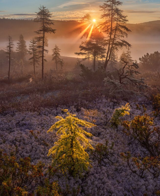 фототуры с владимиром рябковым, #topnature #russpasibo #magic_shots #lovelyrussia #sunset_vision #exclusive_sky  #exclusive_shots #loves_russia2 #photoarena_nature #nature_sultans #nature_perfection #rsa_sky #rsa_sunset #photorussia #rsa_naturepics #sunse Утро на Джеке... фото превью