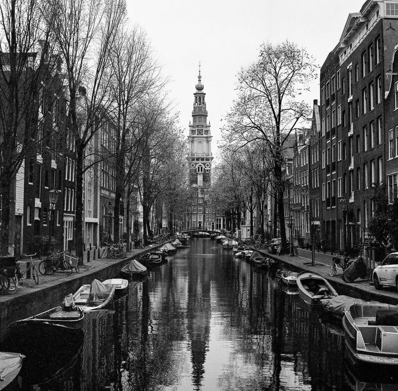 Back in Amsterdam фото превью