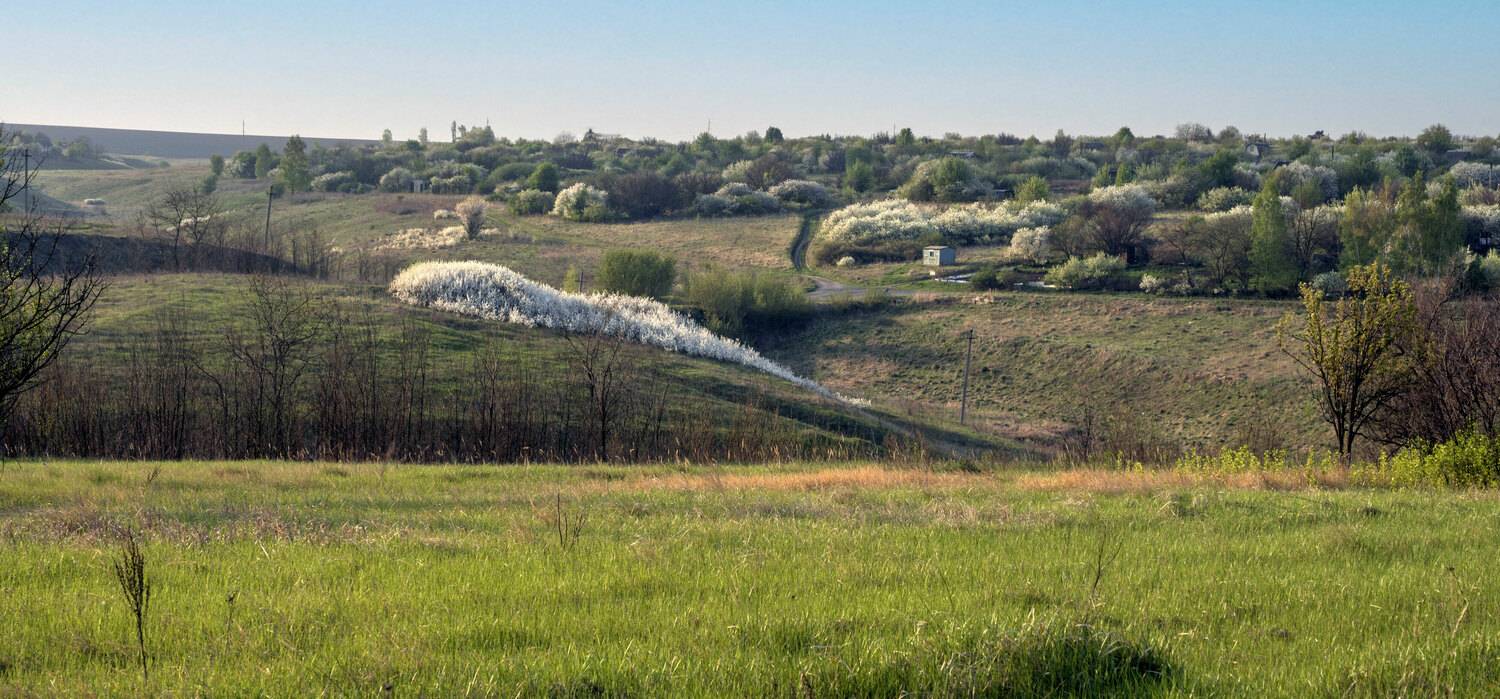 , Каменев Виталий