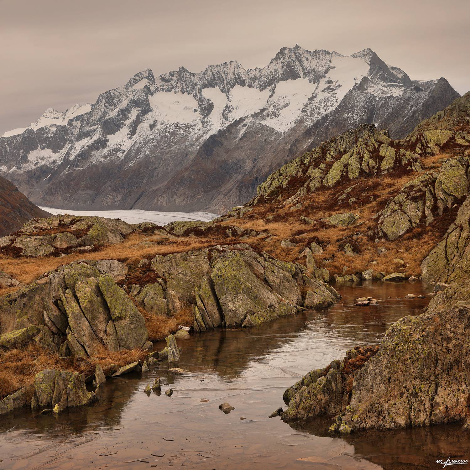 swiss, Матвеев Николай