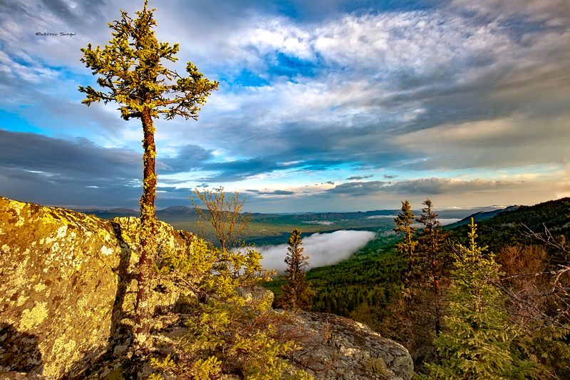 фото превью