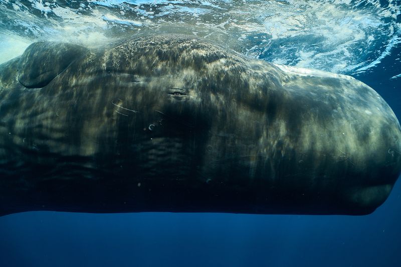 Поиграем? фото превью