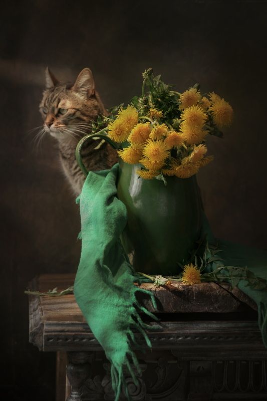 Мусенька и одуванчики фото превью