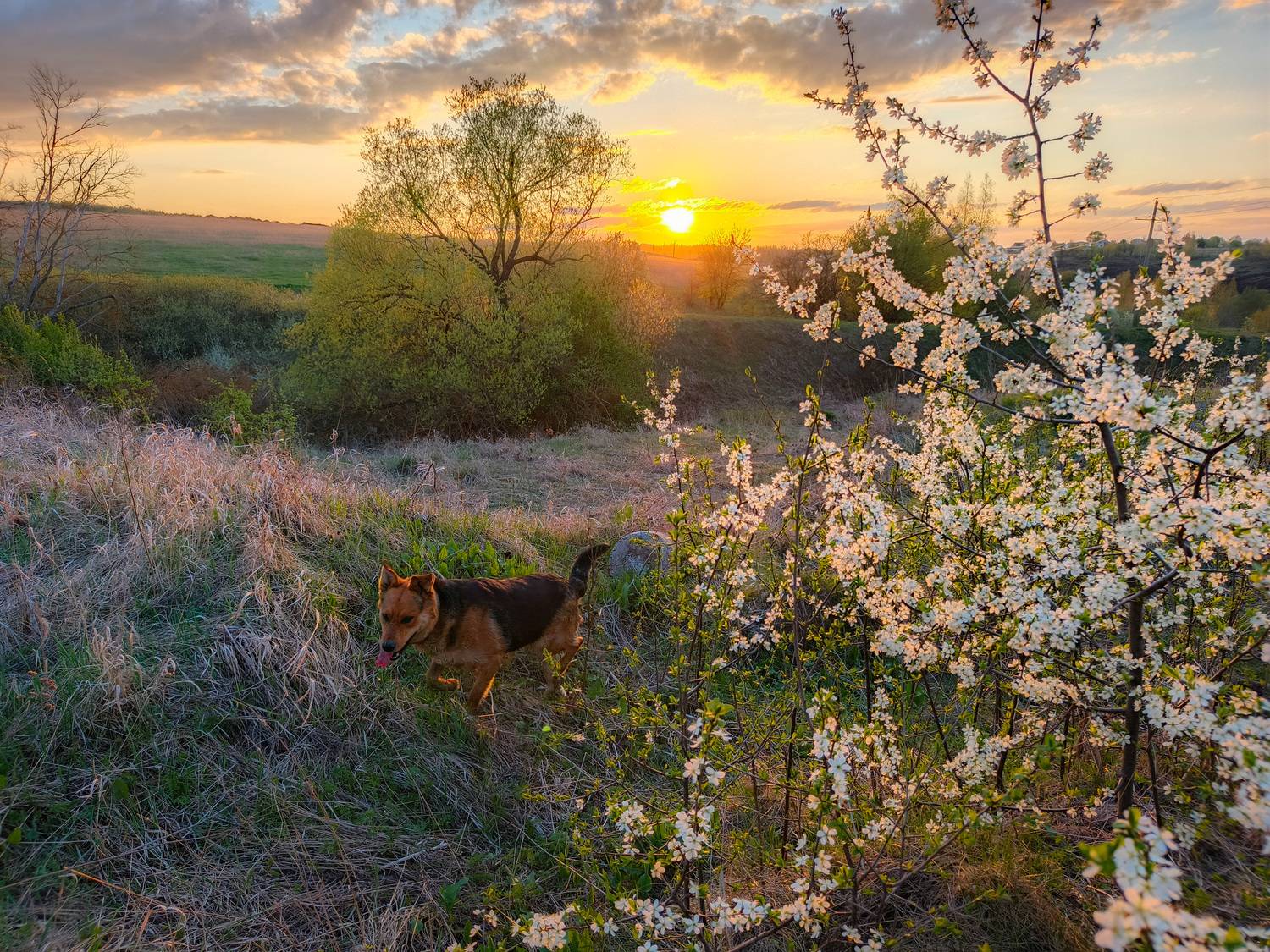 , Кондрашова Светлана