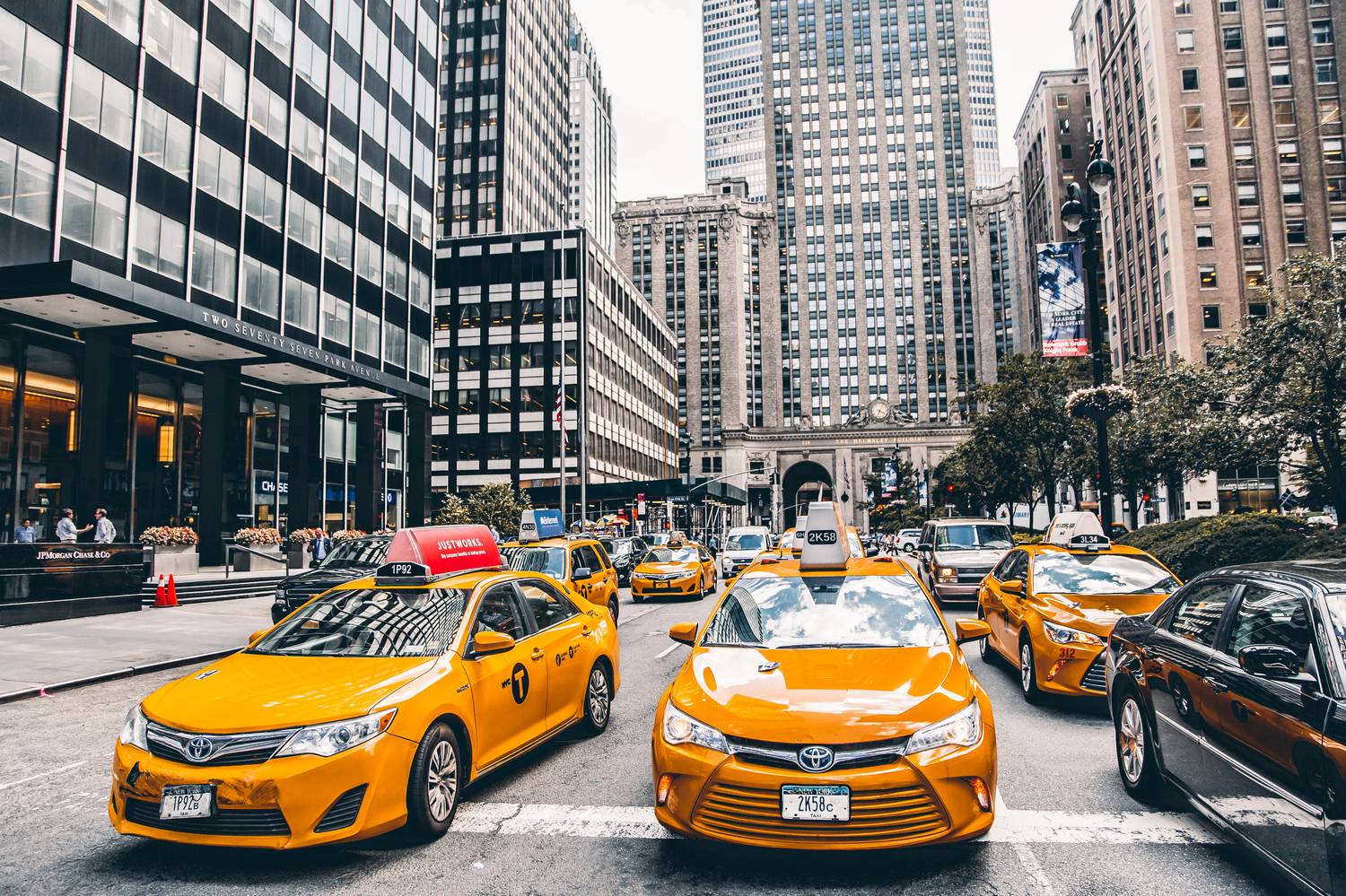 , Трепольский Дмитрий